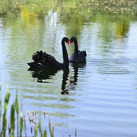Dom Na Wodzie Mazury Βίλα Dzwierzuty Εξωτερικό φωτογραφία